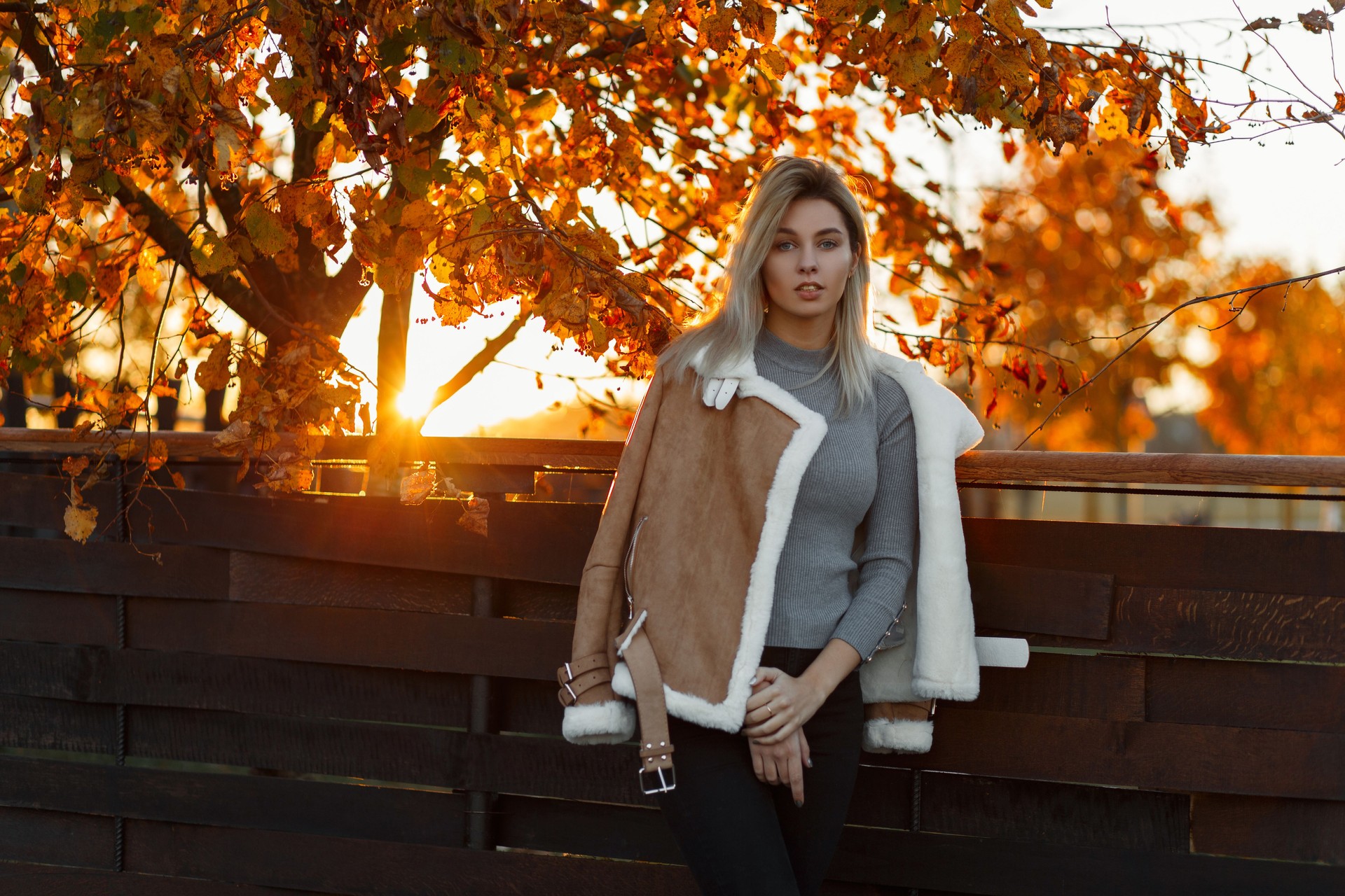 Young beautiful girl model in gray knitted fashionable sweater and warm jacket posing in a park near a wooden fence against a background of golden trees and sunset. Autumn stylish blond woman.